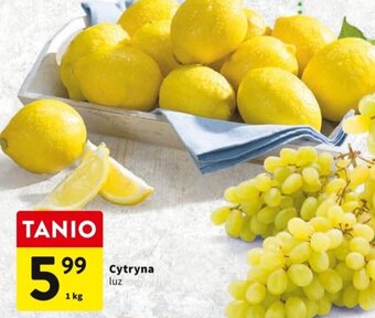 Intermarche Cytryna 1kg oferta