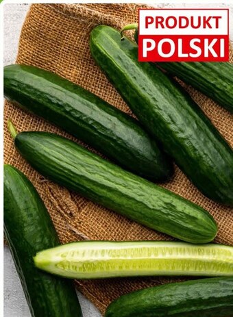 Carrefour Express Ogórki oferta