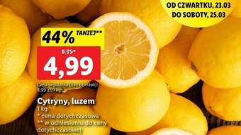 Lidl Cytryna oferta