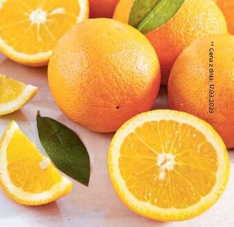 Netto Pomarańcza oferta