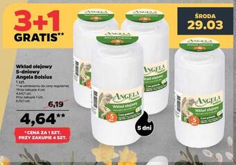 Netto Wkład olejowy 5-dniowy angela bolsius oferta