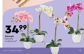 Biedronka Storczyk sztuczny w doniczce oferta