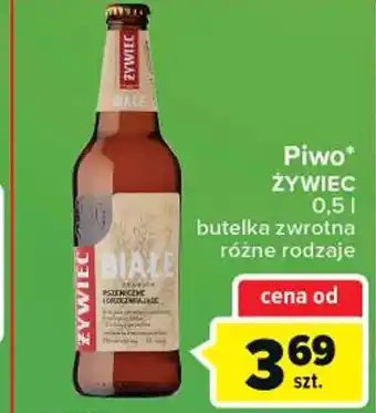 Globi Żywiec Piwo 0,5 L oferta