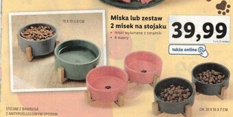 Lidl Zoofari Miska lub zestaw 2 misek na stojaku oferta