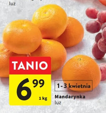 Intermarche Mandarynka 1 kg oferta