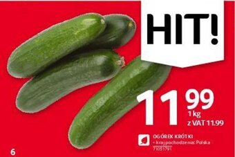 Selgros Ogórek krótki 1kg oferta