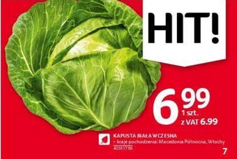 Selgros Kapusta biała wczesna 1szt. oferta