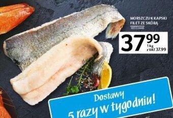 Selgros Morszczuk kapski filet ze skórą 1kg oferta