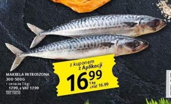 Selgros Makrela patroszona 300-500g oferta