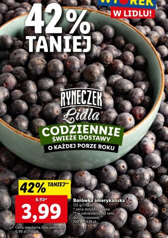 Lidl Borówki amerykańskie 125g oferta