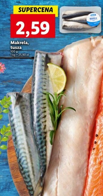 Lidl Makrela tusza 100g oferta