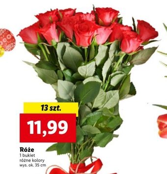 Róże 13szt.