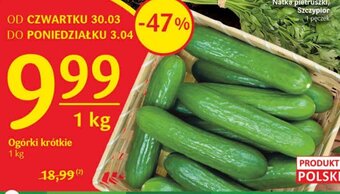 Delikatesy Centrum Ogórki krótkie 1kg oferta