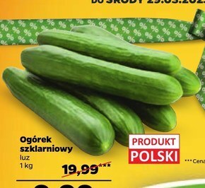Netto Ogórek oferta