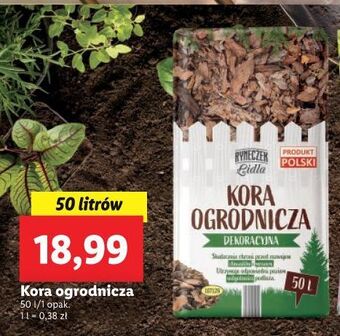 Lidl Kora ogrodnicza dekoracyjna ryneczek lidla oferta