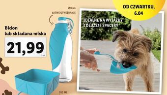 Lidl Bidon dla psa składany 550 ml oferta