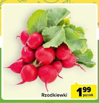 Carrefour Express Rzodkiewka oferta