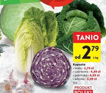Intermarche Kapusta biała oferta