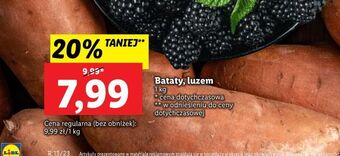 Lidl Bataty oferta