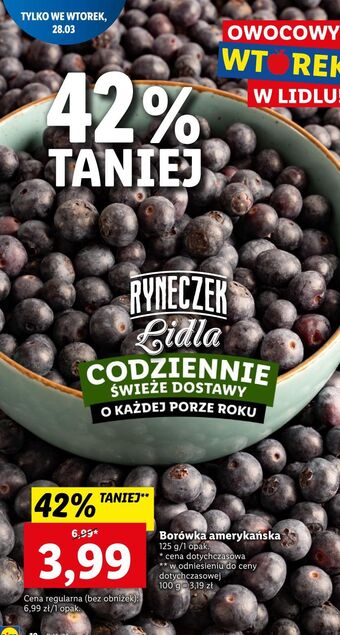 Lidl Borówka amerykańska oferta