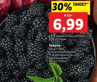 Lidl Jeżyny oferta
