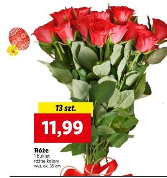 Lidl Róże 35 cm oferta