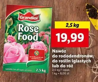 Lidl Nawóz do rododendronów grandiol oferta