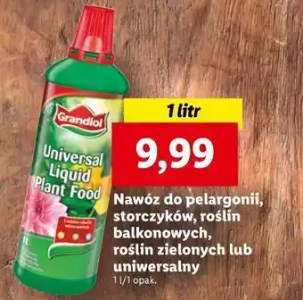 Lidl Nawóz do pelargonii grandiol oferta