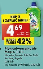 Biedronka Płyn uniwersalny magnolia mr magic oferta