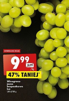 Biedronka Winogrona jasne bezpestkowe oferta