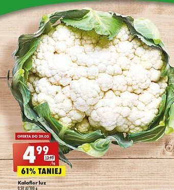 Biedronka Kalafior oferta
