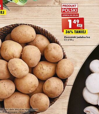 Biedronka Ziemniaki jadalne oferta