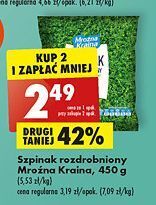 Biedronka Szpinak rozdrobniony mroźna kraina oferta