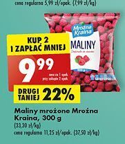 Biedronka Maliny mroźna kraina oferta