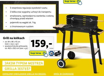 Lidl Grill na kółkach oferta