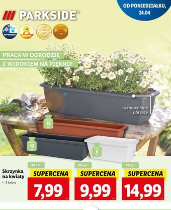Lidl Skrzynka na kwiaty 40 cm oferta