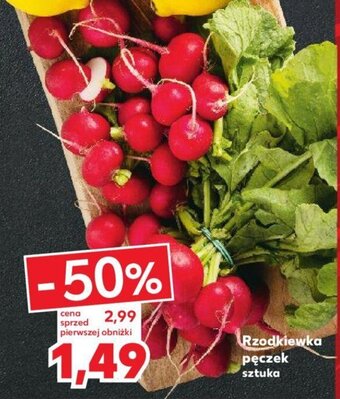 Kaufland Rzodkiewka pęczek oferta