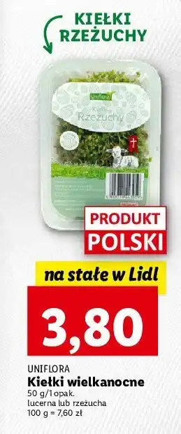 Lidl Kiełki lucerny oferta