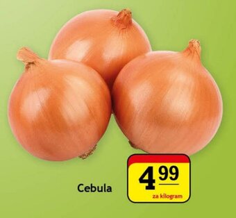 Gram Market Cebula 1kg oferta