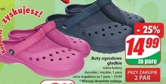 Dino Buty ogrodowe damskie oferta