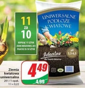 Dino Ziemia kwiatowa uniwersalna oferta