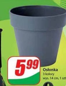 Dino Osłonka oferta