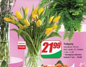 Dino Tulipany 35 cm oferta