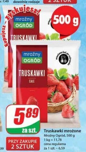 Dino Truskawki mroźny ogród oferta