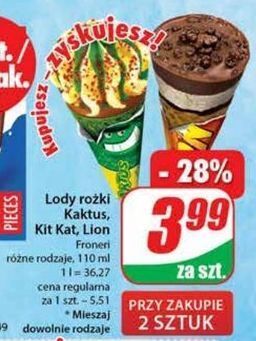 Dino Rożek lion oferta