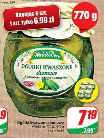 Dino Ogórki kwaszone domowe waldiben oferta