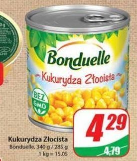 Dino Kukurydza złocista bonduelle oferta