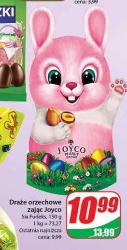 Dino Drażetki czekoladowe wiewiórka joyco oferta
