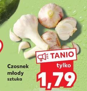 Kaufland Czosnek oferta