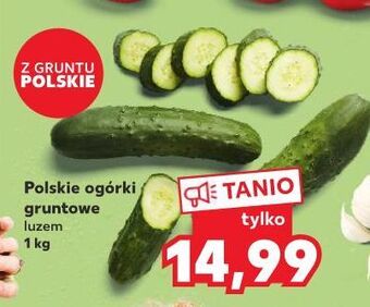 Kaufland Ogórki gruntowe oferta